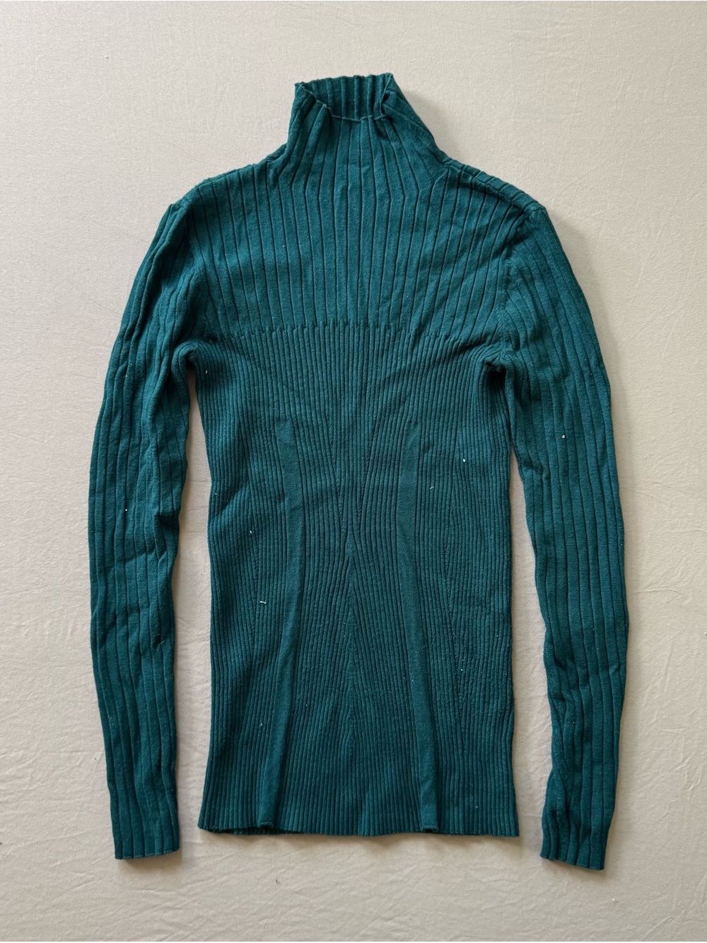 Pashmina Fitted Mock neck Rib Knit Top